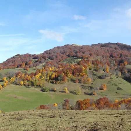 Le Lioran Vue Face A La Montagne Au Pied Des Pistes Apartment