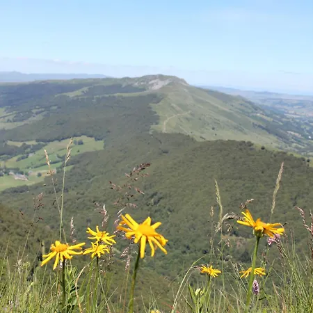 Le Lioran Vue Face A La Montagne Au Pied Des Pistes Laveissiere