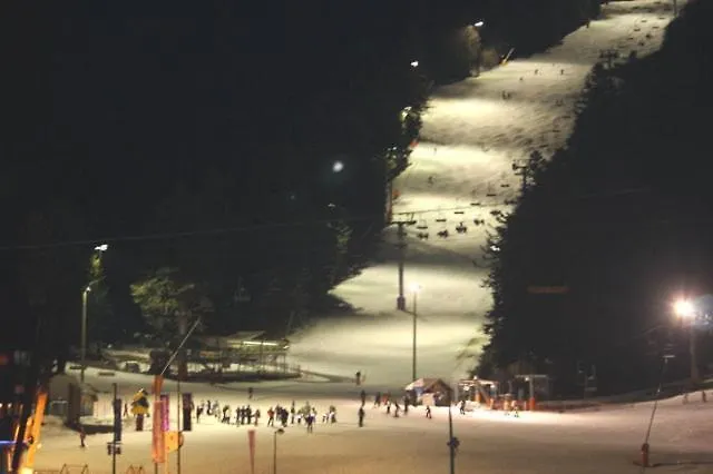 Apartment Le Lioran Vue Face A La Montagne Au Pied Des Pistes Laveissiere