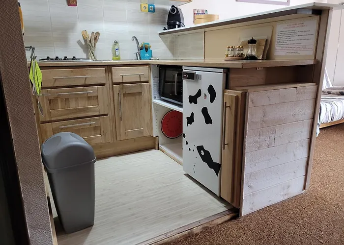 Le Lioran Vue Face A La Montagne Au Pied Des Pistes