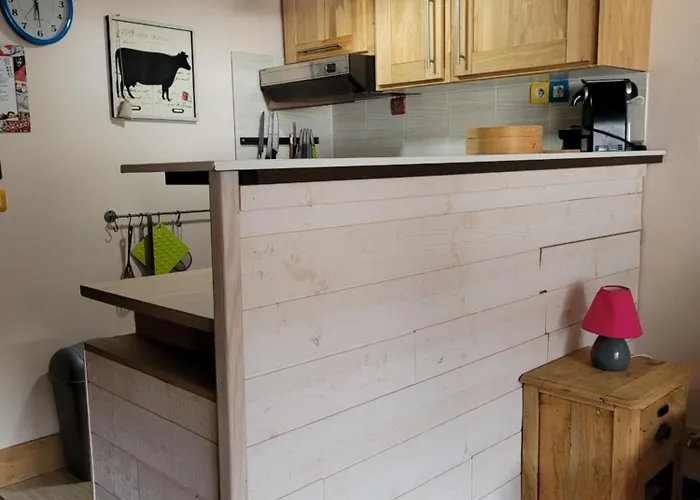 Le Lioran Vue Face A La Montagne Au Pied Des Pistes Apartment *