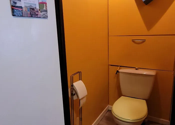 Le Lioran Vue Face A La Montagne Au Pied Des Pistes Apartment *