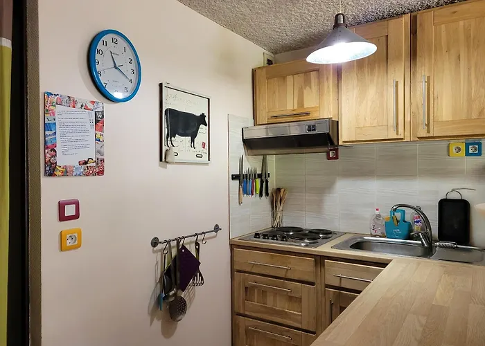 Le Lioran Vue Face A La Montagne Au Pied Des Pistes Apartment Laveissiere