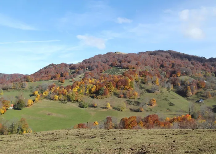 Le Lioran Vue Face A La Montagne Au Pied Des Pistes Apartment